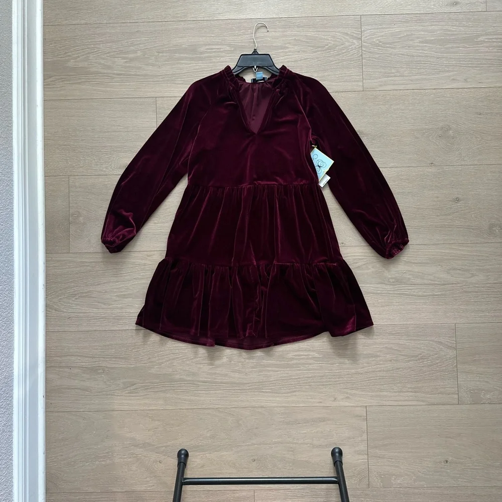 CeCe Velvet Dress - Picture 3 of 3